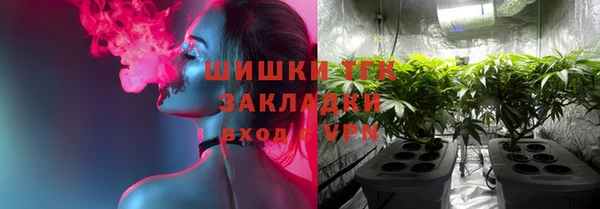 гидропоника Алзамай