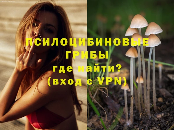 2c-b Алексеевка